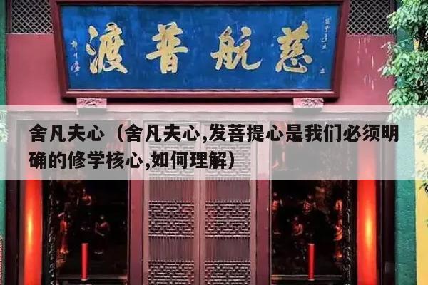 舍凡夫心（舍凡夫心,发菩提心是我们必须明确的修学核心,如何理解）