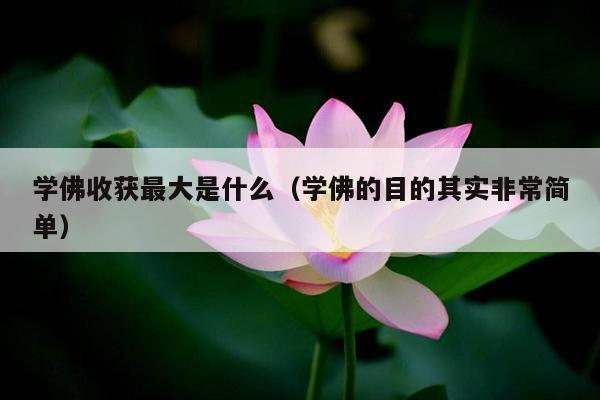 学佛收获最大是什么（学佛的目的其实非常简单）