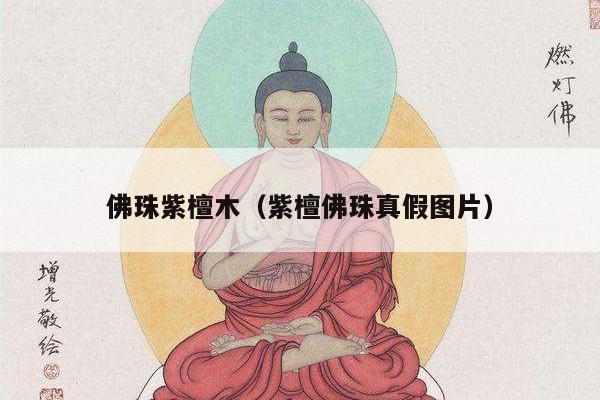佛珠紫檀木（紫檀佛珠真假图片）