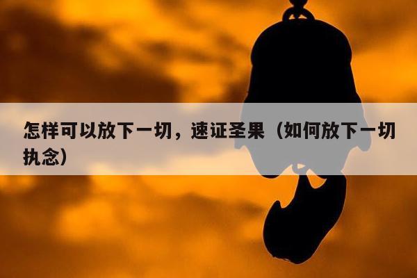 怎样可以放下一切，速证圣果（如何放下一切执念）