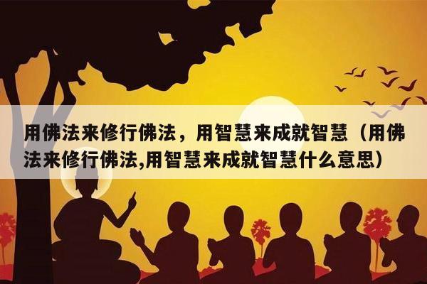用佛法来修行佛法，用智慧来成就智慧（用佛法来修行佛法,用智慧来成就智慧什么意思）