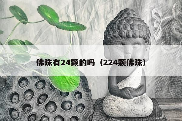 佛珠有24颗的吗（224颗佛珠）