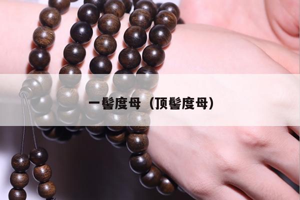 一髻度母（顶髻度母）
