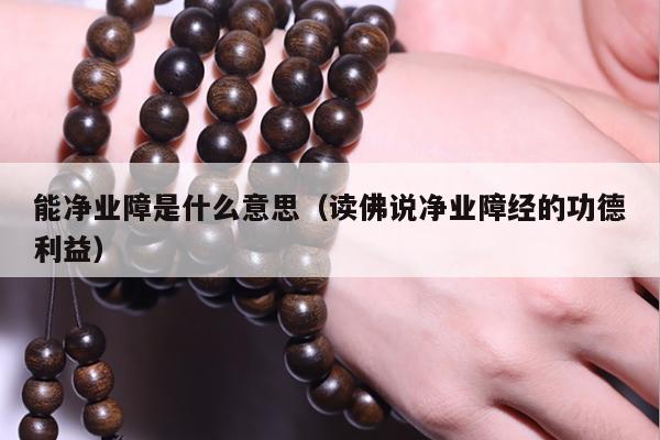 能净业障是什么意思（读佛说净业障经的功德利益）