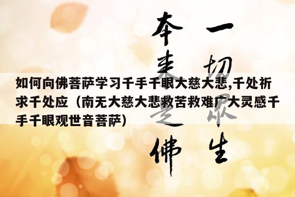 如何向佛菩萨学习千手千眼大慈大悲,千处祈求千处应（南无大慈大悲救苦救难广大灵感千手千眼观世音菩萨）