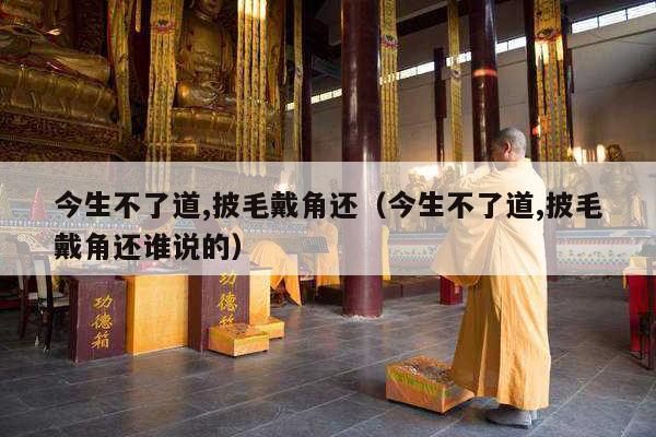 今生不了道,披毛戴角还（今生不了道,披毛戴角还谁说的）