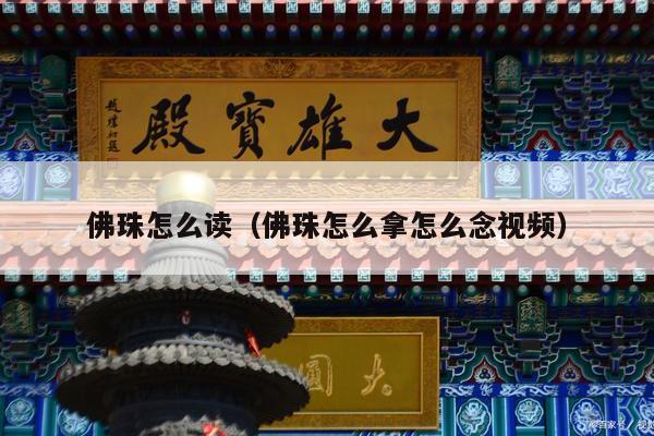 佛珠怎么读（佛珠怎么拿怎么念视频）