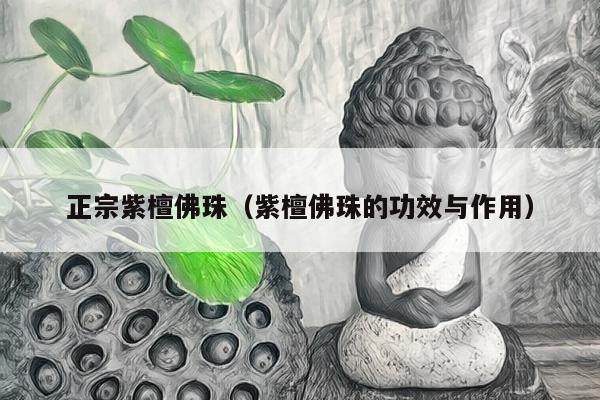 正宗紫檀佛珠（紫檀佛珠的功效与作用）