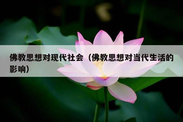 佛教思想对现代社会（佛教思想对当代生活的影响）