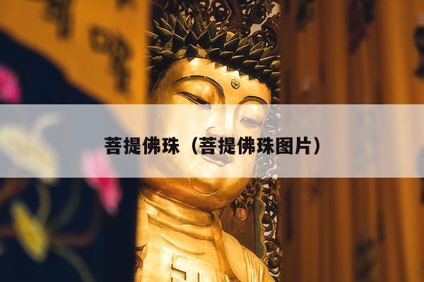 菩提佛珠（菩提佛珠图片）