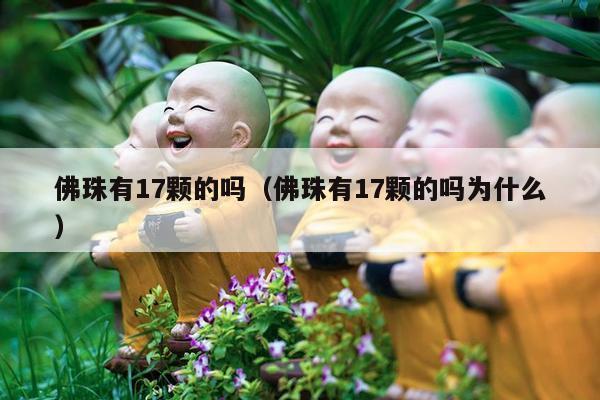 佛珠有17颗的吗（佛珠有17颗的吗为什么）