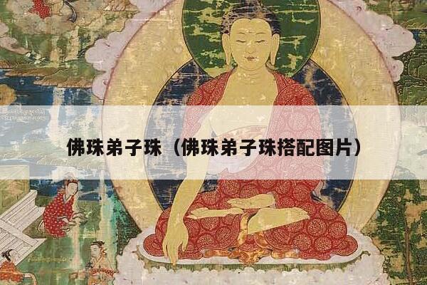 佛珠弟子珠（佛珠弟子珠搭配图片）