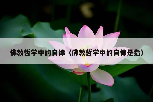 佛教哲学中的自律（佛教哲学中的自律是指）