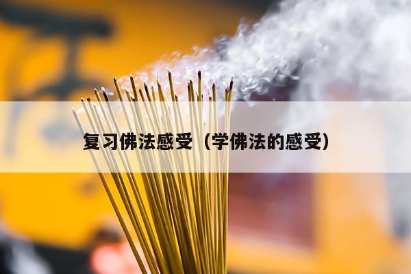复习佛法感受（学佛法的感受）