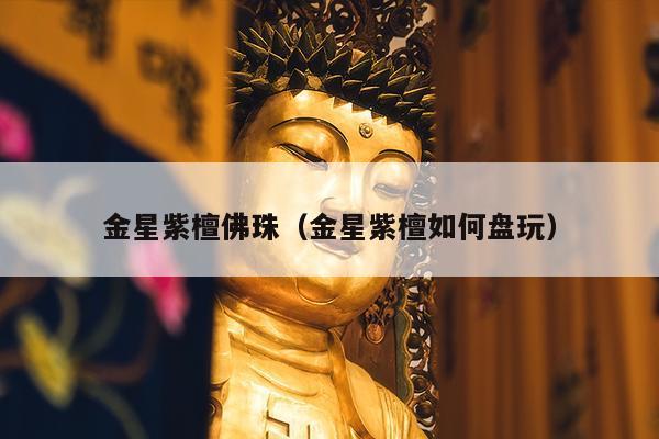 金星紫檀佛珠（金星紫檀如何盘玩）