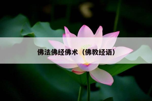 佛法佛经佛术（佛教经语）