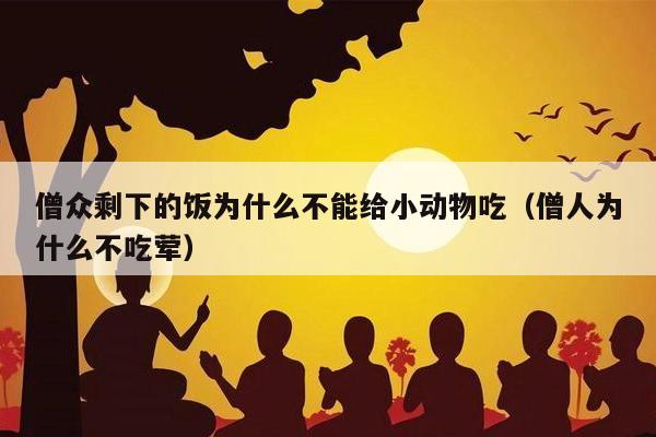 僧众剩下的饭为什么不能给小动物吃（僧人为什么不吃荤）