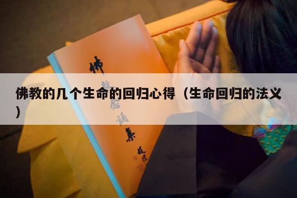 佛教的几个生命的回归心得（生命回归的法义）