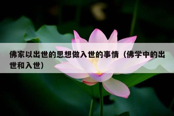佛家以出世的思想做入世的事情（佛学中的出世和入世）
