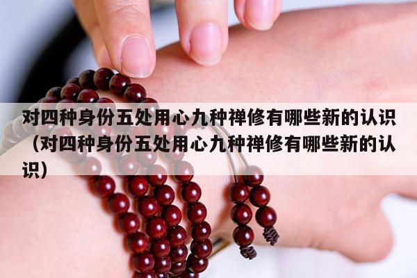 对四种身份五处用心九种禅修有哪些新的认识（对四种身份五处用心九种禅修有哪些新的认识）