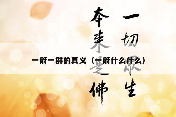 一箭一群的真义（一箭什么什么）