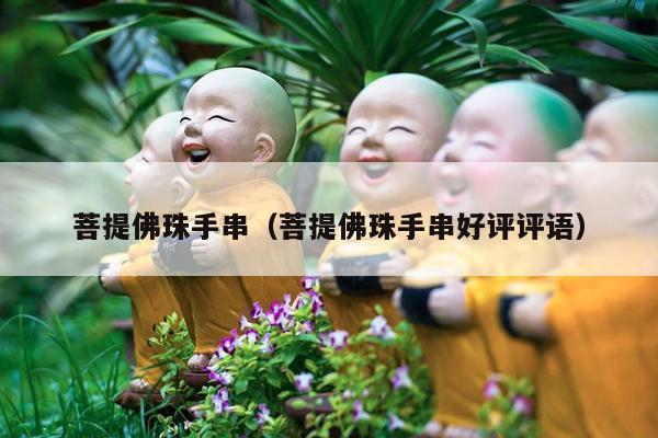 菩提佛珠手串（菩提佛珠手串好评评语）