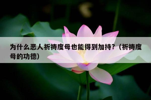 为什么恶人祈祷度母也能得到加持?（祈祷度母的功德）