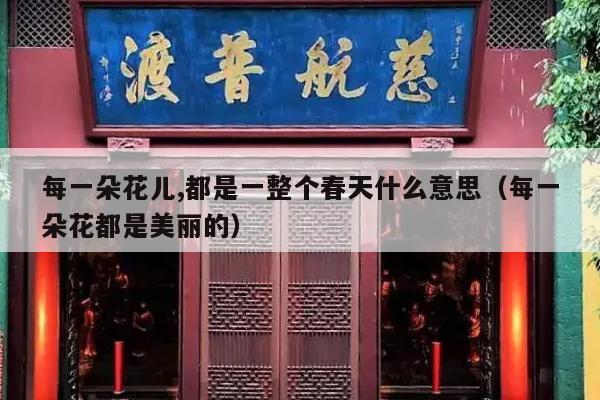 每一朵花儿,都是一整个春天什么意思（每一朵花都是美丽的）