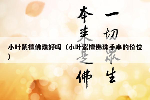 小叶紫檀佛珠好吗（小叶紫檀佛珠手串的价位）