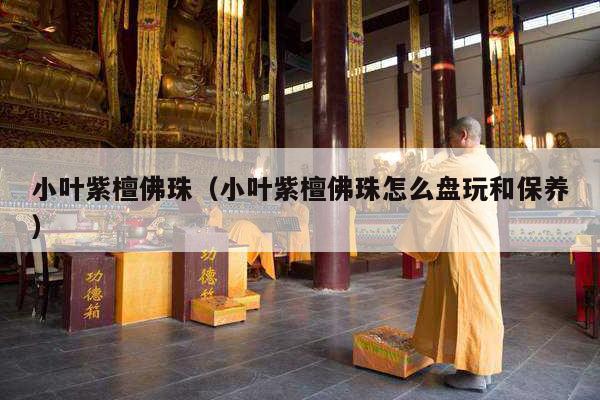 小叶紫檀佛珠（小叶紫檀佛珠怎么盘玩和保养）