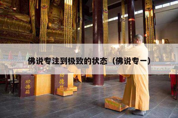 佛说专注到极致的状态（佛说专一）
