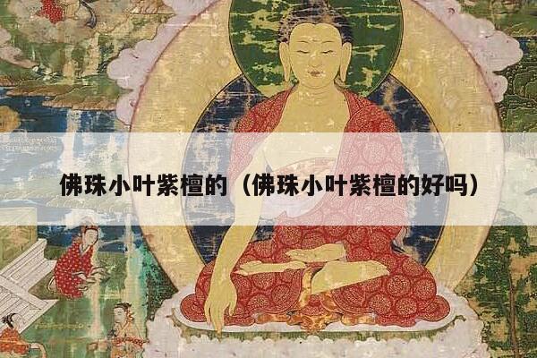 佛珠小叶紫檀的（佛珠小叶紫檀的好吗）