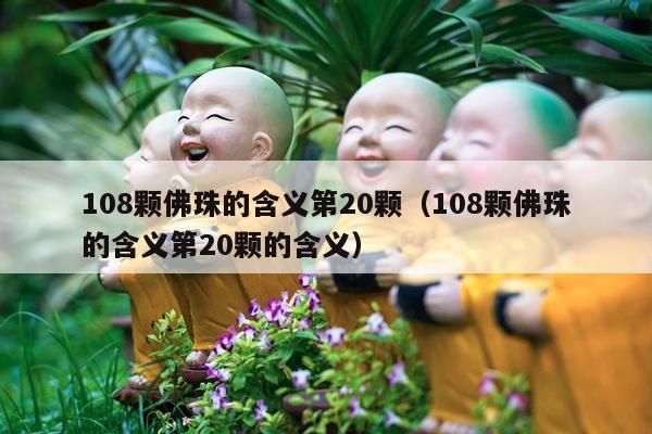 108颗佛珠的含义第20颗（108颗佛珠的含义第20颗的含义）