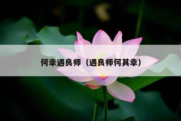何幸遇良师（遇良师何其幸）