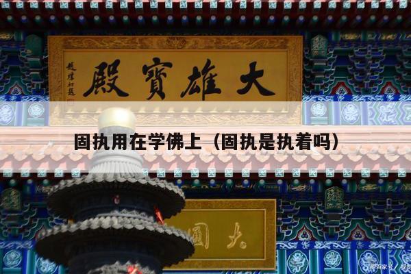 固执用在学佛上（固执是执着吗）