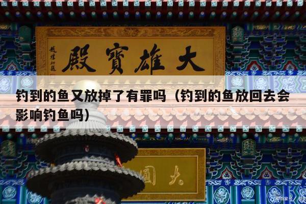 钓到的鱼又放掉了有罪吗（钓到的鱼放回去会影响钓鱼吗）