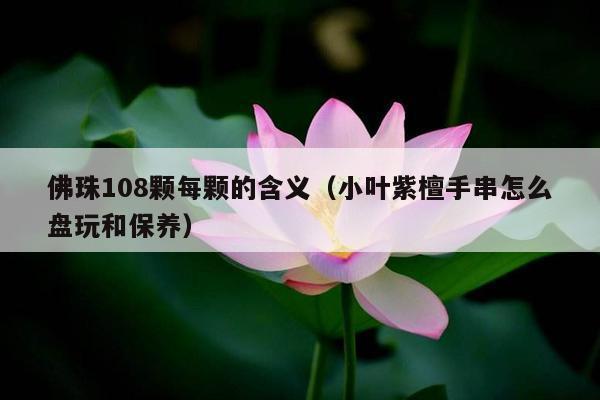 佛珠108颗每颗的含义（小叶紫檀手串怎么盘玩和保养）