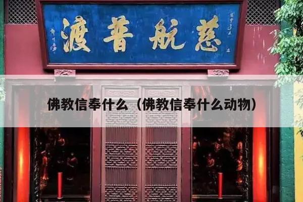 佛教信奉什么（佛教信奉什么动物）