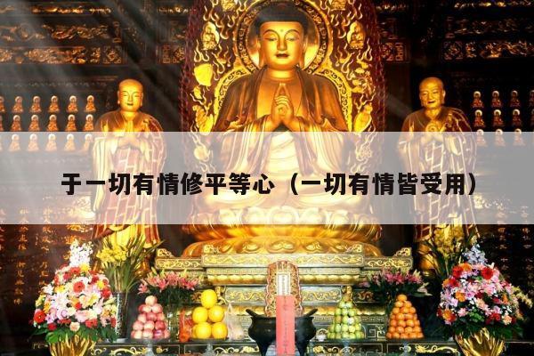 于一切有情修平等心（一切有情皆受用）