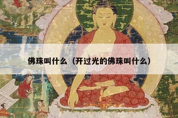 佛珠叫什么（开过光的佛珠叫什么）