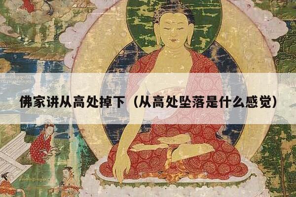 佛家讲从高处掉下（从高处坠落是什么感觉）