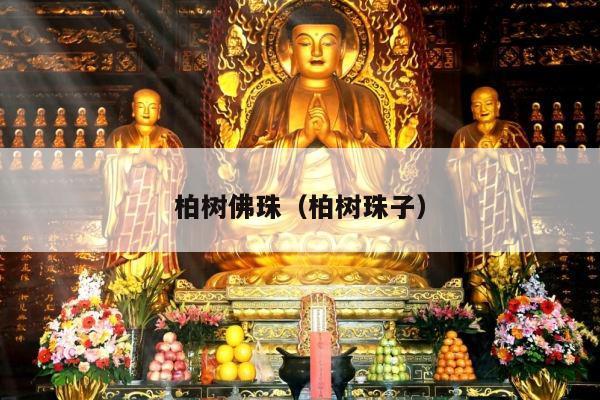 柏树佛珠（柏树珠子）