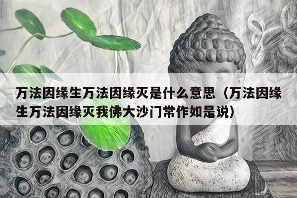 万法因缘生万法因缘灭是什么意思（万法因缘生万法因缘灭我佛大沙门常作如是说）