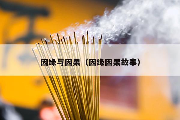 因缘与因果（因缘因果故事）