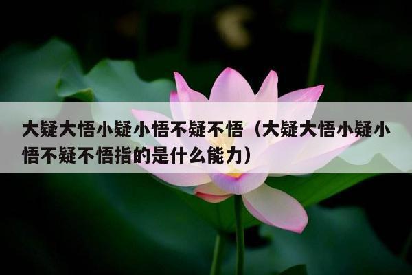 大疑大悟小疑小悟不疑不悟（大疑大悟小疑小悟不疑不悟指的是什么能力）