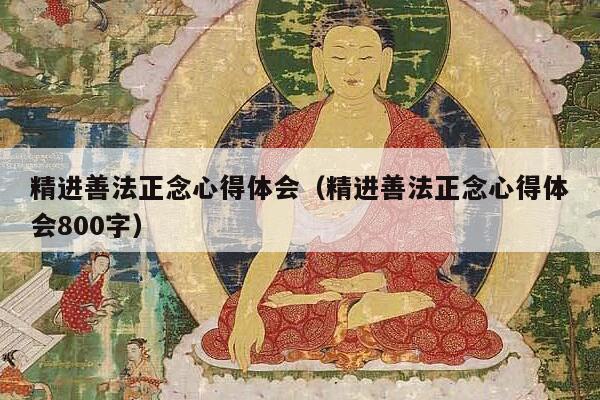 精进善法正念心得体会（精进善法正念心得体会800字）