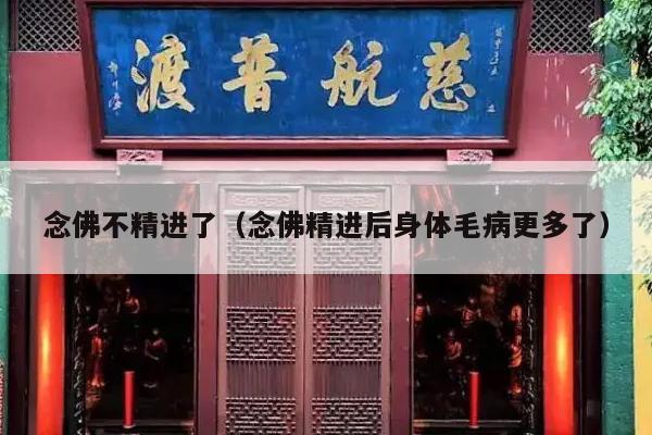 念佛不精进了（念佛精进后身体毛病更多了）