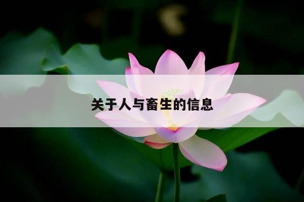 关于人与畜生的信息