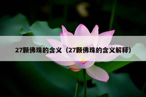 27颗佛珠的含义（27颗佛珠的含义解释）