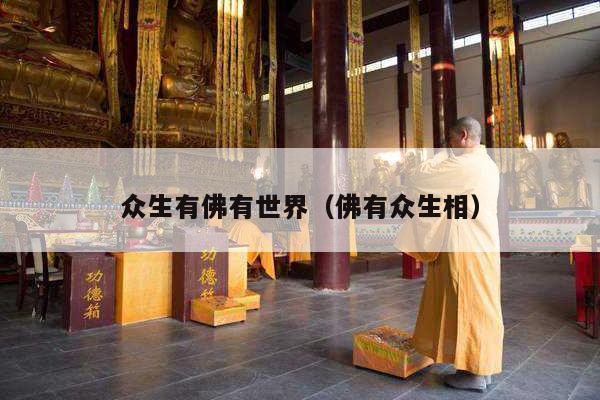 众生有佛有世界（佛有众生相）